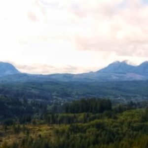 Meet your Posher, Brenda